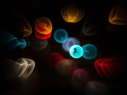 Simone Baumeister, Caught in the headlights (Catturato dai fari) (dettagli), vincitore categoria “Arte della natura”. Per gentile concessione del Museo della Permanente