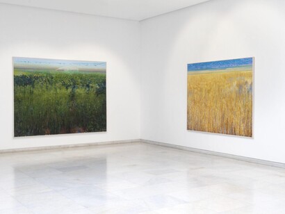 Miltos Golemas, Plateau, exhibition view. Courtesy of Zoumboulakis Galleries