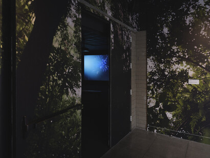 J.J. Anderson, Sometimes I feel like I am almost home, exhibition view. Courtesy of CAAM