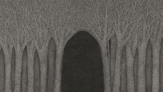 Olmo Erba, Putridarium. Courtesy of Putridarium Gallery
