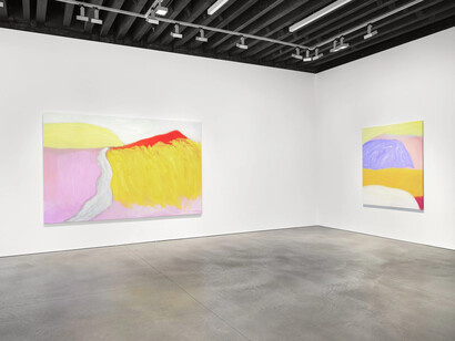 Jongsuk Yoon, Azalea spring, exhibition view. Courtesy of Marian Goodman Gallery 