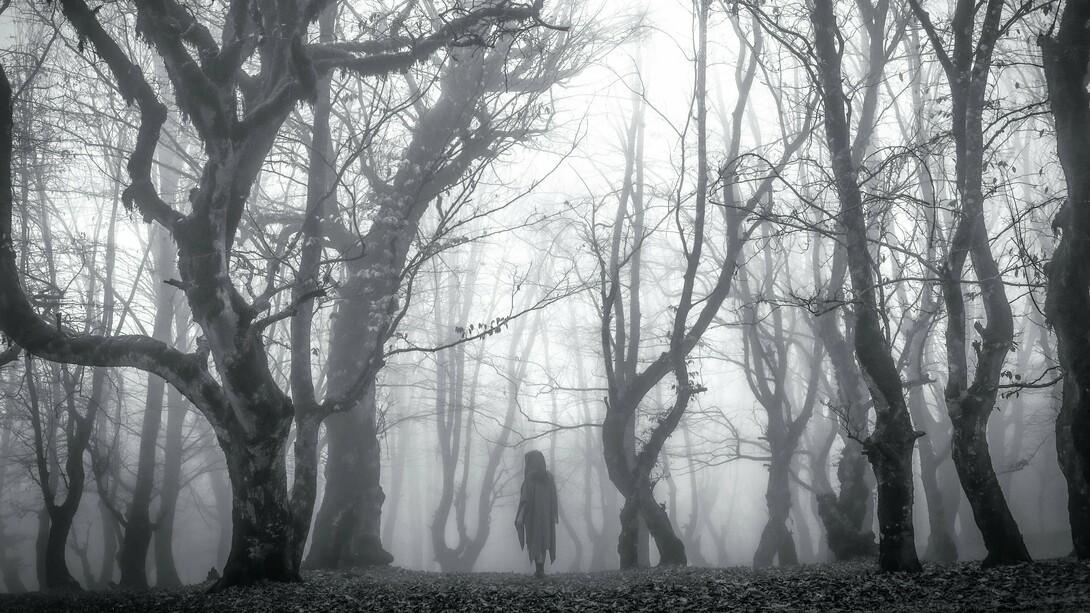A spooky figure in a forest, representing the unknown forces humans have historically filled with cryptids and legends
