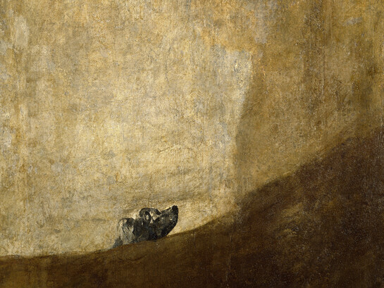 Francisco de Goya, Perro semihundido (detalle) (1819–1823)