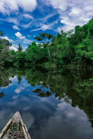 Il lago Rimachi nell'Amazzonia peruviana 