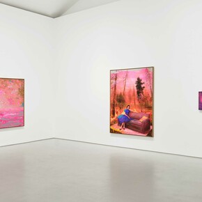 Tursic & Mille, Lavis en rose, vue d'exposition. Avec l'aimable autorisation de la Galerie Max Hetzler