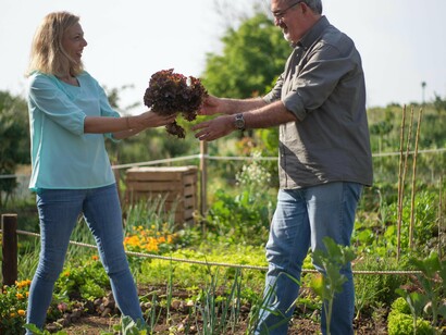 Casal em sua horta. Isso mesmo, o sentimento de pertença não começa na mente ou no convívio social, mas é o resultado de triliões de microrganismos — micróbios, fungos, bactérias — que começam a se desenvolver no parto e moldam a nossa essência