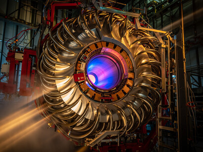 Wendelstein 7-X, Detailschnitt mit der internen Plasmaeinschließung