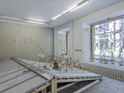 Sandra Ernits and Tõnis Jürgens, Wind note, exhibition view. Courtesy of Tallinn City Gallery