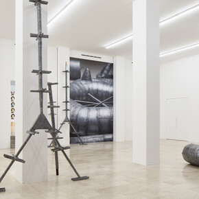 Ana Lupas, Armature, veduta della mostra. Cortesia di P420