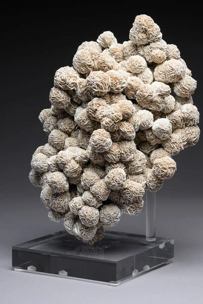 Desert rose. Courtesy of Phillips