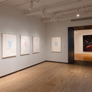 Vincent Valdez, Just a dream... (Solo un sueño...), vista de exhibición. Cortesía del MASS MoCA