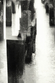 No need to fear, immagine di copertina