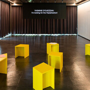 Saâdane Afif. Courtesy of Kunsthalle Wien