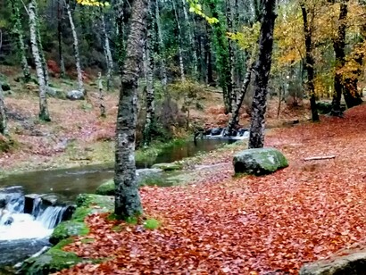 Parque Nacional da Peneda - Gerês. Embarcar nesta viagem não é apenas percorrer quilómetros, é folhear um livro de história e geografia escrito na própria terra. A transição entre as suas unidades geográficas narra a diversidade, a resiliência e a riqueza cultural que fazem de Portugal um país único