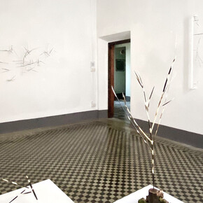 Sara Berola, Spinoza, veduta della mostra. Per gentile concessione di Die Mauer arte contemporanea