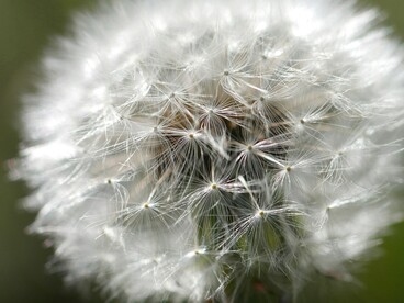 L’elaborazione profonda li rende particolarmente empatici, intuitivi e attenti ai dettagli del contesto sociale