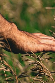 Habíamos perdido los guantes que servían de eslabón a las causas compartidas y, desde entonces, nuestras manos estaban frías