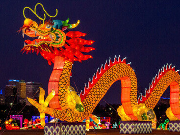 La danza del dragón es una metáfora de la unidad: si un solo portador pierde el ritmo, todo el cuerpo del Dragón se quiebra. Es el símbolo de la cohesión social y de la visión a largo plazo.