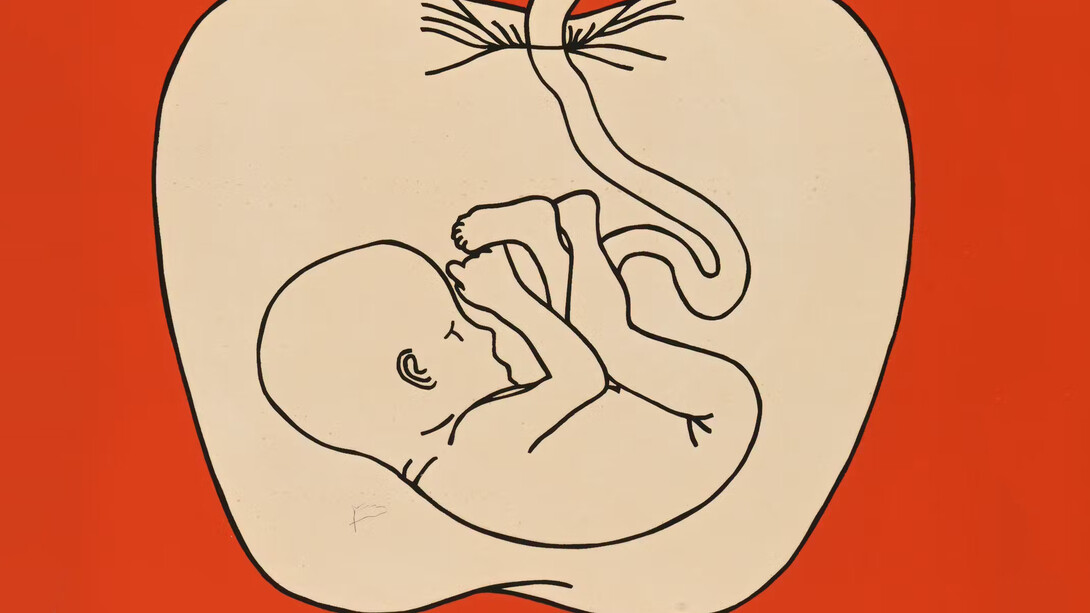 El juego de la manzana (detail). Courtesy of MON - Museu Oscar Niemeyer