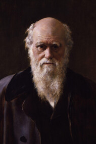 Detalle de uno de los retratos más famosos de Darwin, obra del pintor John Collier