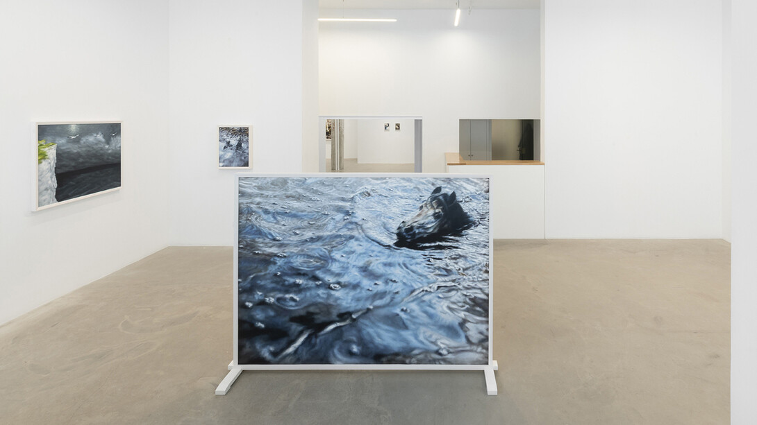 Philipp Fröhlich, La cavale, vista de exhibición. Cortesía de la Galería Juan Silió 