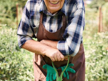 A retired senior man tending to his garden in the field, finding fulfillment in the simplicity of nature