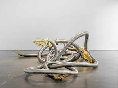 Bekhbaatar Enkhtur, Tinct, exhibition view. Courtesy of Galeria Pedro Cera