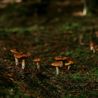 Attraverso i libri, l’arte e il pensiero, la cultura ricuce ciò che la violenza, l’ignoranza o la solitudine hanno lacerato