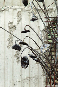 Young conifer saplings rise through the undergrowth of a tranquil forest floor, capturing the quiet resilience of nature’s regrowth. Photo credit: © Norbert Nagel