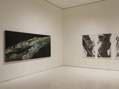 Vishal Kumar Gupta, Field notes (On the afterlife of trees), exhibition view. Courtesy of Emami Art