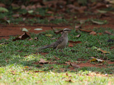 Soltar implica aceptar la incertidumbre y comprender que el cuidado también tiene un límite