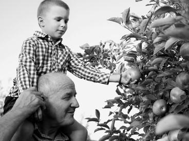 Ogni boccone può risvegliare sensazioni antiche, legate a momenti della nostra vita