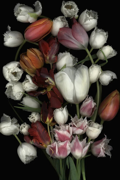 Luzia Simons, Stockage 83, 2010. Courtesy of Galerija Fotografija