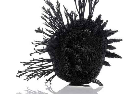 Proyecto de propagación: Semillas de madera talada, 2025
