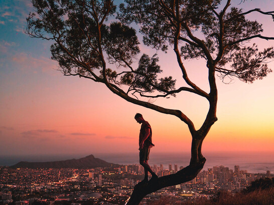 A man stands on a tree branch at sunset in Honolulu, Hawaii, silhouetted against the glowing sky