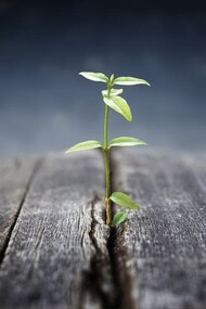 Attraversare i meandri più bui della vita