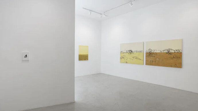 Marina Schroeder, Não se toca sem algum risco o íntimo das coisas, vista da exposição. Cortesia da Galeria Aura