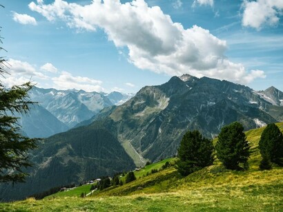 A serene grassy field dotted with trees, nestled beneath the towering mountains of Kashmir, India