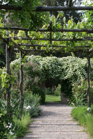 Un giardino alla Giudecca