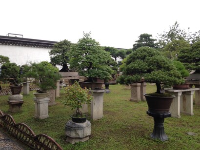 Jardín de bonsais en Zhuozhengyuan. Jardín en Suzhou,China. Patrimonio Mundial de la UNESCO