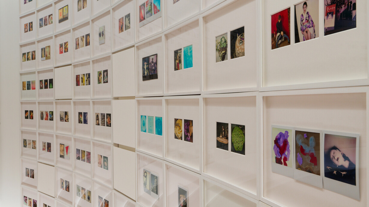 Araki Nobuyoshi, Polaraki, vue d'exposition. Avec l'aimable autorisation du Musée Guimet