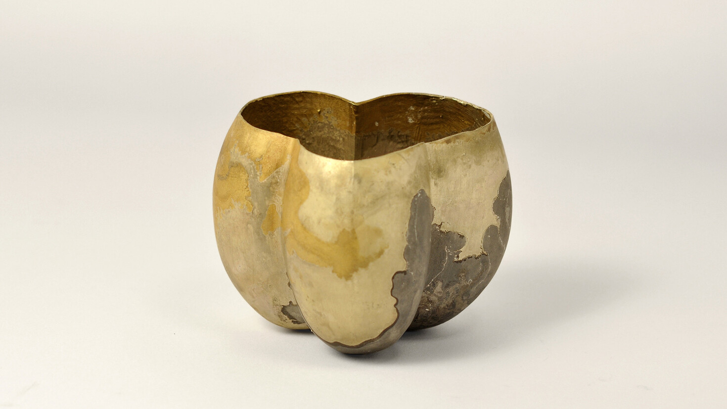 Peter Bauhuis. Armillaria | Meer