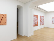 Adriana Varejão, Histórias moldadas, exhibition view. Courtesy of Gagosian Gallery
