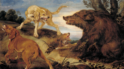 De Vos Paul, Caccia al cinghiale selvatico, 1630-1672 circa. Galleria Sabauda, Torino, Italia 