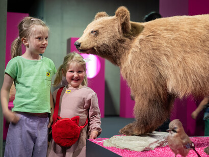 Waldreich. The forest and us! Exhibition view. Courtesy of Schlossmuseum Linz