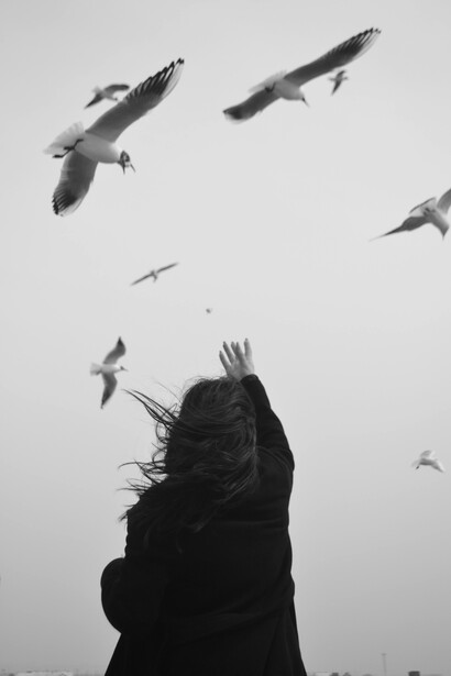 El ave entra en ella sin tocarla. Y en esa inmovilidad encuentra algo parecido a hogar