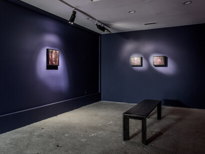 Marco Perego, The being, exhibition view. Courtesy of Jeffrey Deitch