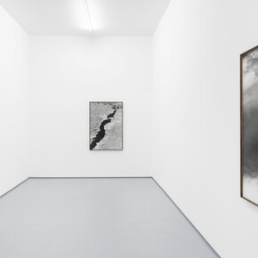 Tito Mouraz, Selva oscura, vista da exposição. Cortesia de 3+1 Arte Contemporânea