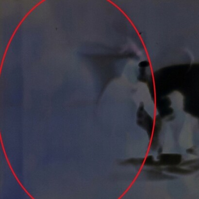 Castello di Gropparello, provincia di Piacenza. Negativo secondo scatto, dettaglio. Foto di Walter Maria Calarco