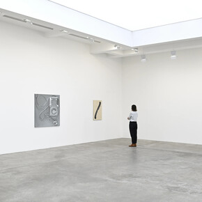 Paul Sietsema, vue de l'exposition. Avec l'aimable autorisation de la galerie Marian Goodman